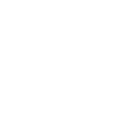 Logo_Rosmary WEISS' Praxis für Lebenbegleitung, Coaching & Kinesiologie in Unterägeri, Kanton Zug