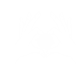Logo_Rosmary WEISS' Praxis für Lebenbegleitung, Coaching & Kinesiologie in Unterägeri, Kanton Zug
